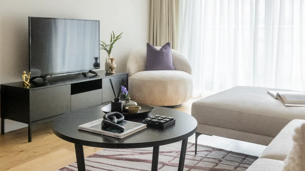 TV and Sofa